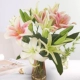 10 розовых и белых лилий + свежие консерванты