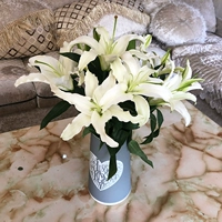 10 белых лилий