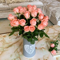 Diana/Fanxue Mountain (случайным образом отправляет один) 18 ветвей+2 ветви потери защиты+доставка питательных веществ