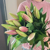 5 случайных лилий+5 богатых бамбука