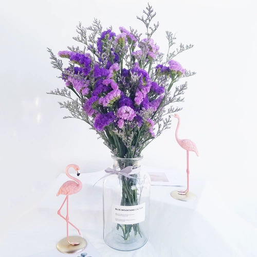 Цветок Юньнань Прямые волосы, забудь меня, сушеные цветы, цветочные букеты Истинные цветы, вечные цветы дома украшение офисным цветочным магазином