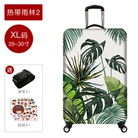 Тропический дождевой лес 2 _ XL код