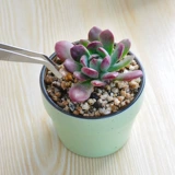 鼎晟 Многоофункциональные садовые почвенные инструменты 3 куски лопаточных рассадок, садовые инструменты