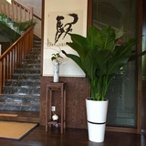 禾小二 Креативный умный очень большой цветочный горшок, хорошо впитывает воду