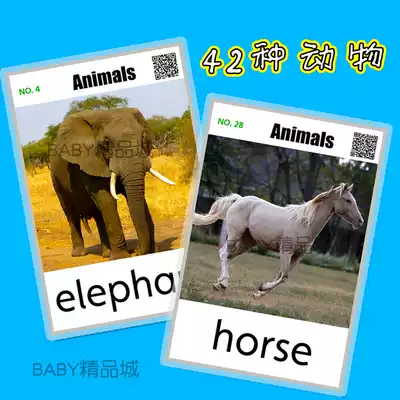 English card flash card animal animal card physical child word card baby early education Enlightenment teacher teaching aids