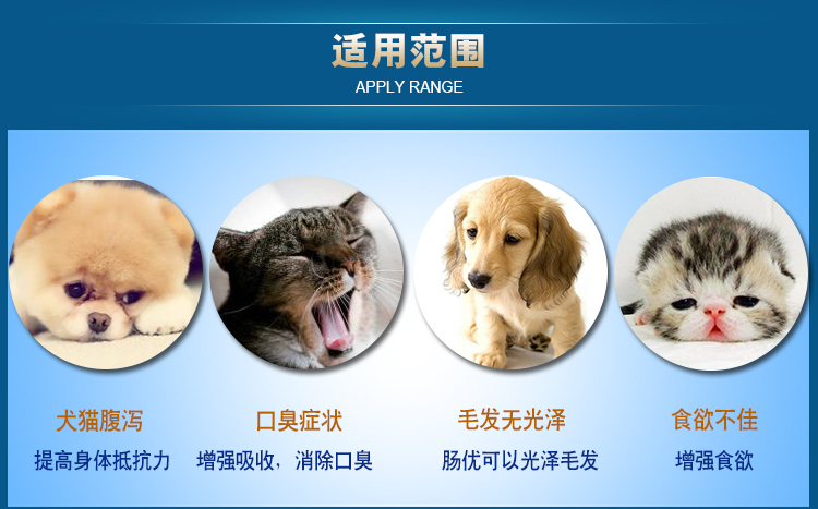 Anh Byrne Intestines Pet Dog Probiotic Điều hòa ruột và mèo Tiêu chảy Táo bón Giúp tiêu hóa sữa cho chó 4 tháng tuổi