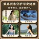 자연 베트남 나! 트랑 중국 아가우드 팔찌 불교 불교 불교 불교 구슬 네이티