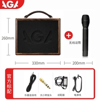 GA-5P (45W)+оригинальный беспроводной микрофон