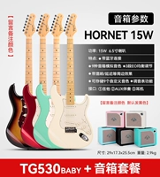 [Advanced Matching] Детский TG530+Mooer Hornet 15W Динамик