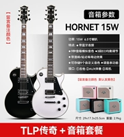 [Advanced Match] TLP Legend+Mooer Hornet 15W Динамик
