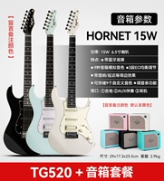 Advanced Match 】【 TG-520】+ Mooer Bumblebee 15W Динамик