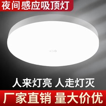 Human body induction ceiling light led radar sound control home corridor stairwell aisle corridor infrared smart 220V