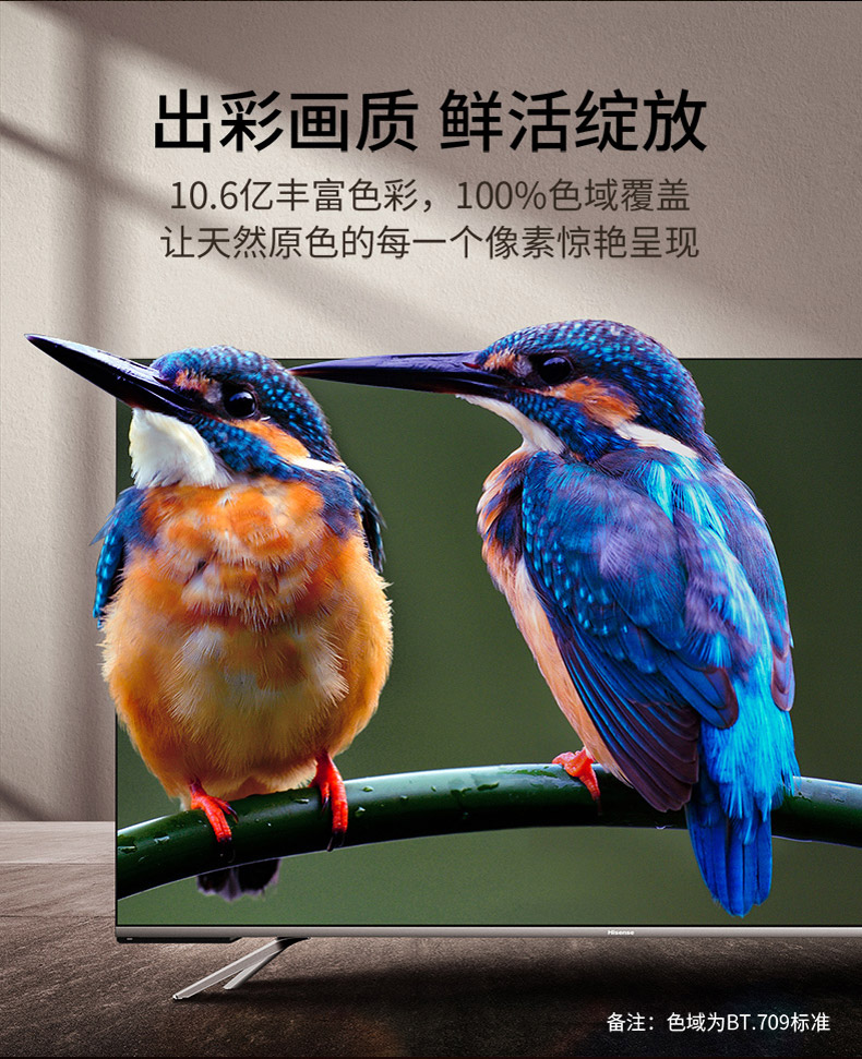 海信 HZ55E5D 55英寸 4K超清全面屏电视机 图20
