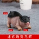 Đồ trang trí lợn dễ thương Trang trí sáng tạo bé trai và bé gái quà tặng sinh nhật mini lợn động vật nhựa trang trí máy tính để bàn