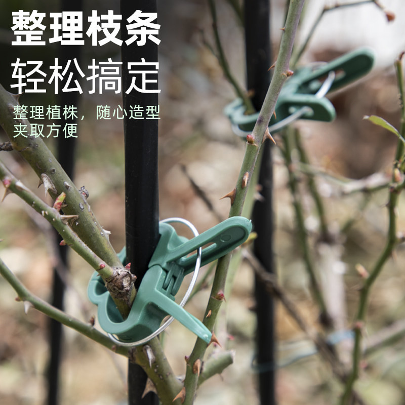 Plant gardening fixed clip Cucumber Tomato Tomato Tomato tomato Tomato Hanger Seedling Chili Hanger Rod Clip Support Plant