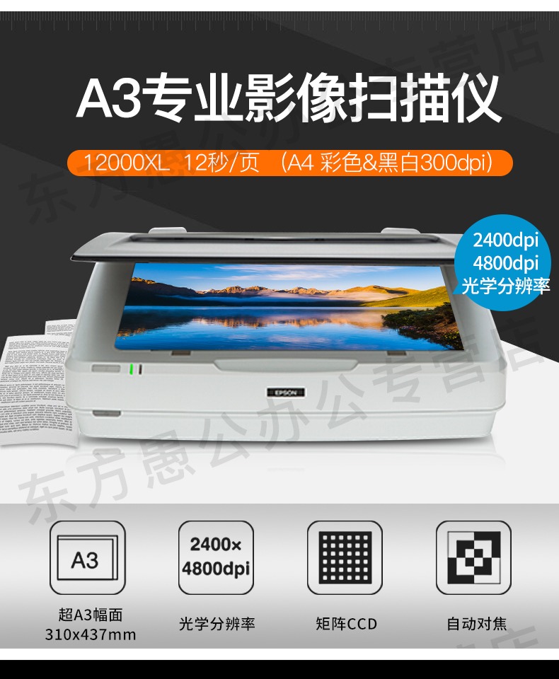 Epson 12000XL khổ lớn Máy quét tài liệu hình ảnh A3 màu HD 11000XL nâng cấp