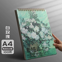 【A4】 Белая роза