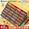 Marley colored pencils for primary school students in 48 colors