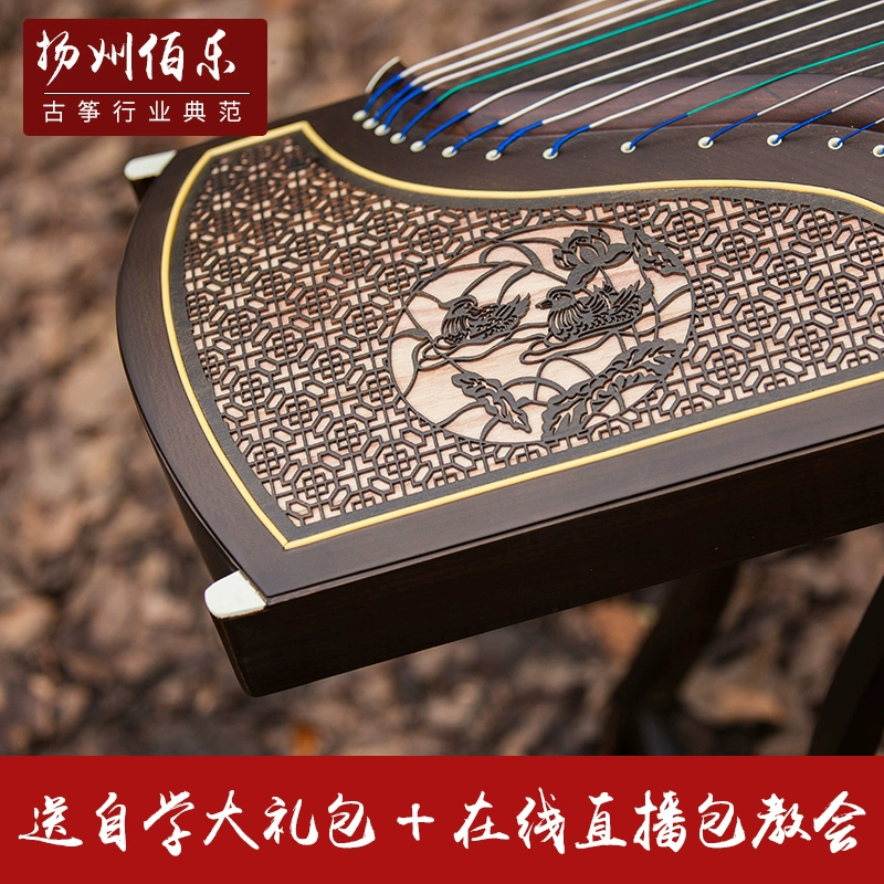 Cao cấp cho người mới bắt đầu học chơi Guzheng chuyên nghiệp để chơi một bộ đầy đủ các nhạc cụ - Nhạc cụ dân tộc