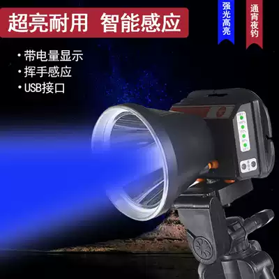 Night fishing lights equipped with hernia strong light blue light