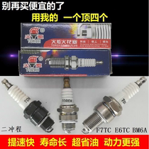 Two stroke motorcycle F7TC E6TC gasoline engine pumper spark plug cutter common use