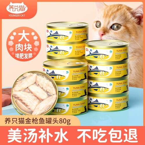 Питание официального танка с белым мясным котом в пищевой пищевой пище