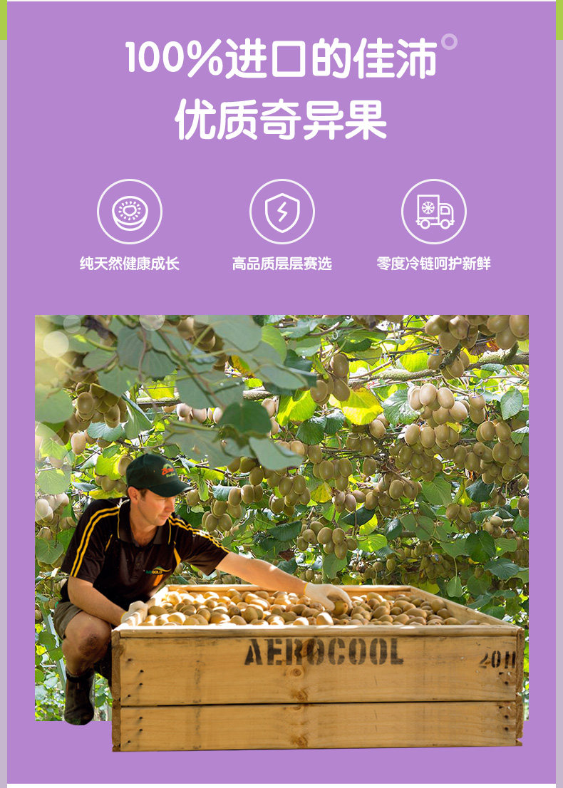zespri 佳沛 金果猕猴桃 16粒精装盒 单果90-110g 图3