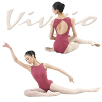 Vivgio