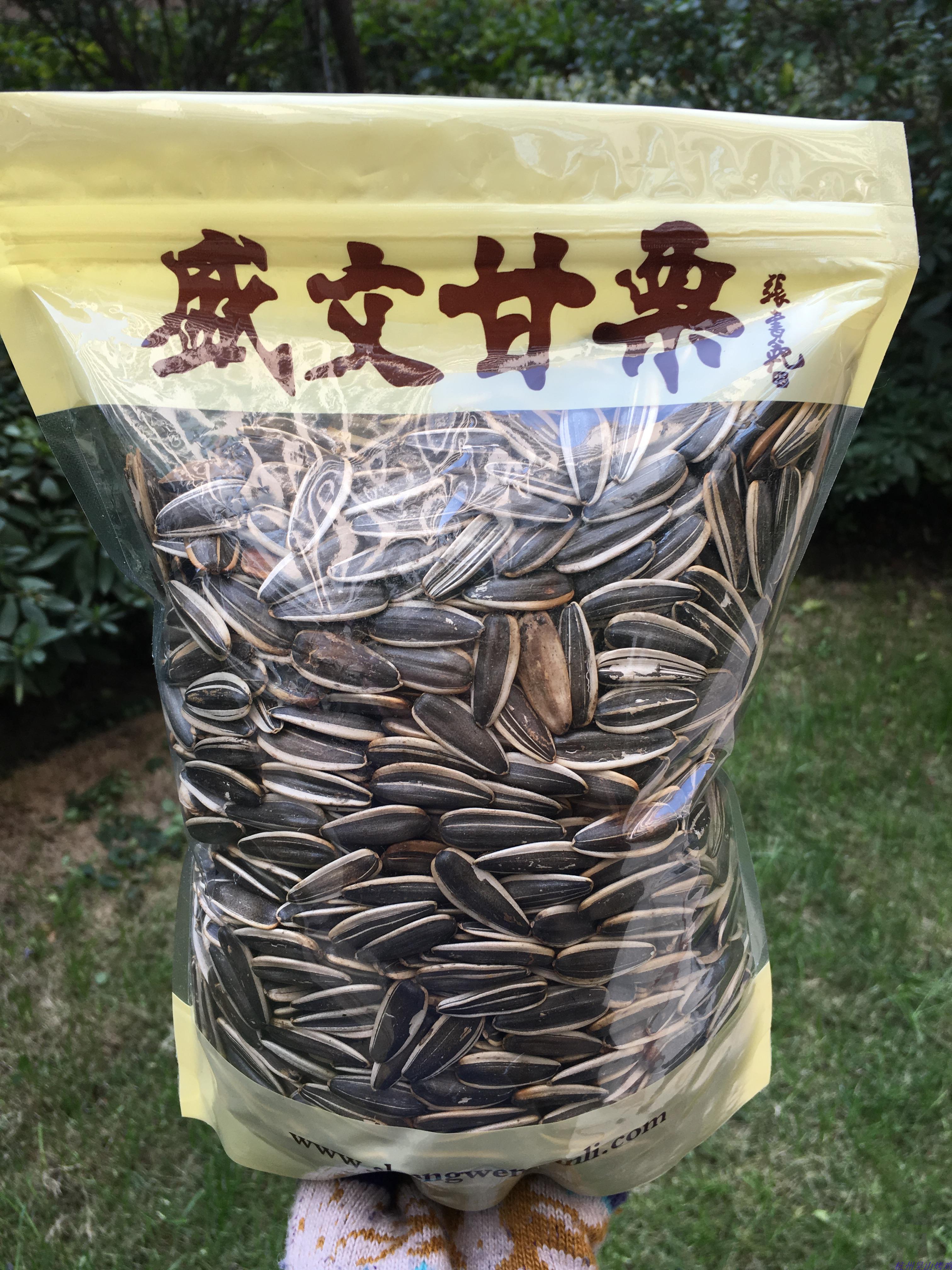 Hangzhou Terrific Shengwen Gan Chestnut Original Taste Melon Seeds Original Taste Great Melon Seeds 500g River East Road Shengwen Gan Chestnut