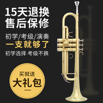 Meiyin Angel trumpet instrument B-down student Beginner wind instrument Paint gold phosphorus copper instrument