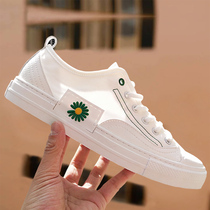 Small Daisy Sailor Cloth Shoes Mens Small White Shoes 2020 New Mens Shoes Summer Breathable Thin Korean version 100 Hitchhiking shoes