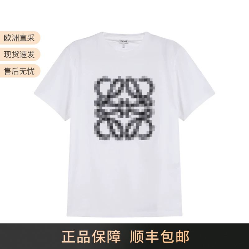Loewe Women's Cotton Large Logo Embroidered Round Neck Short-Sleeved T-Shirt S540Y22X35