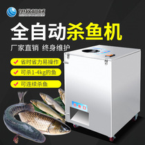 Xuzhong commercial small multi-function fish killing machine automatic stainless steel belly opening to remove the ring ripping back to kill the fish artifact