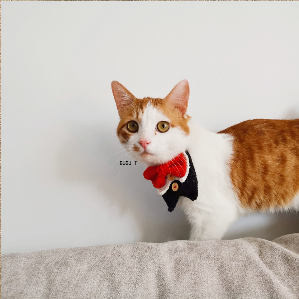 GUGU T pet ornaments original hand cat collar decorations than bear neck dog neck neck and cat towel pet gift