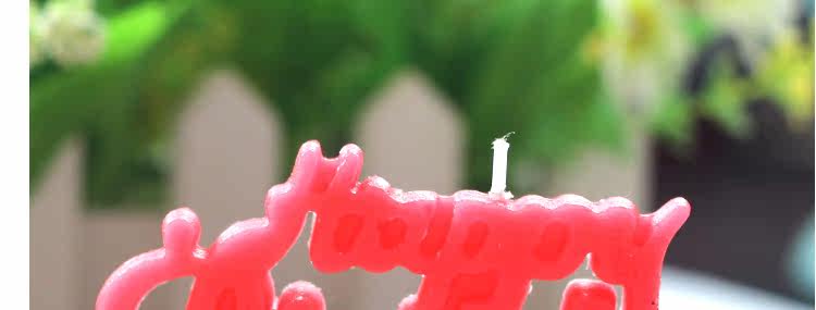 Bougie - Ref 2490213 Image 19