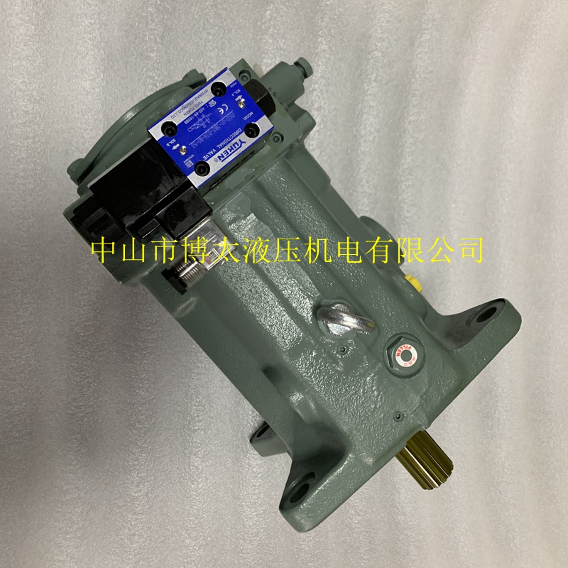 Electric YUKen Oil Research A100-FR00HSD24-10408 60428 Zhongde Injection Variable Piston Pump