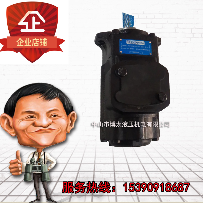 American Denison T6CCW-025-017-2R01-C110 high pressure double vane pump hydraulic oil pump electric