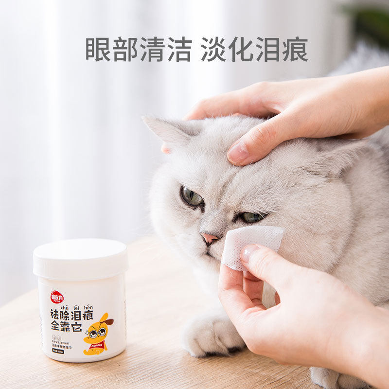 Pet Silver gradient gold supplies Tear-free wet paper towel 120 pieces Muppet Cat English short cat Persian Cat kitten White cat