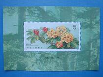 (Crown Credit Store) T162M Rhododendron (Stampet)