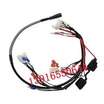 Nuoli forklift parts Tiangang 1 5 tons lithium electric truck PTE15N main control wiring harness 508033010000