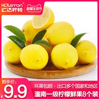 Huida Lemon First -Class 8 Установленные лимонные свежие фрукты свежие выход Гомогенный свежий лимонный сочный лимон Fresh Fresh