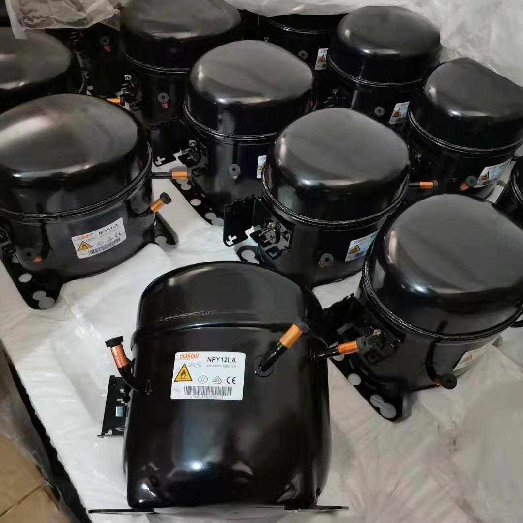 Cool Biqi freezer large freezer low temperature cabinet R290 compressor NPY12LA R290 refrigerant