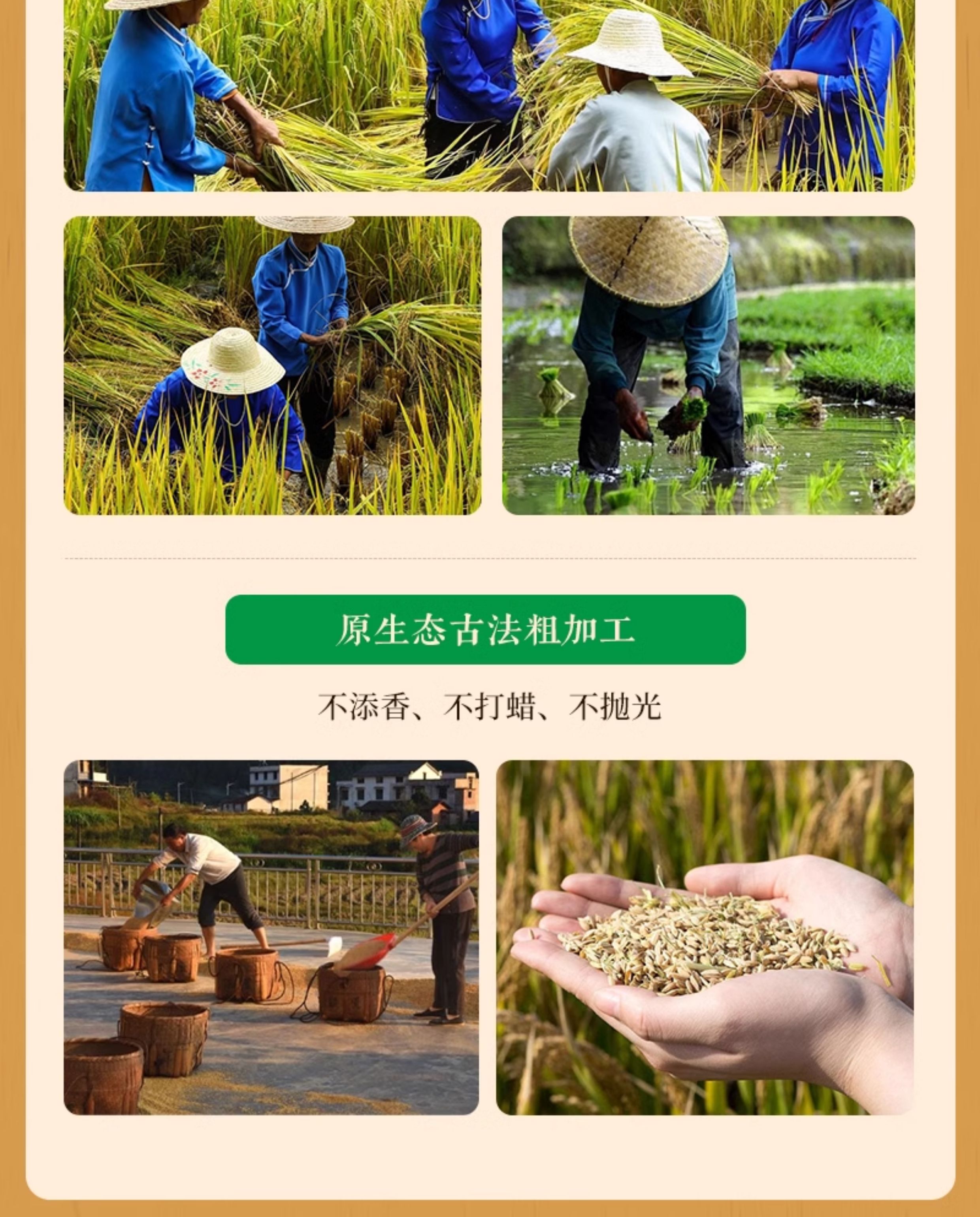 安享好物 安享E级粳米-八宝贡鎏光软米鎏光软米 国标 