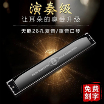 German imported sound Reed harmonica adult 28-hole polyphonic accent harmonica quasi-professional Swan beginner C tune