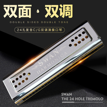 German imported sound Reed 24-hole C G double-sided harmonica advanced adult professional performance beginner students