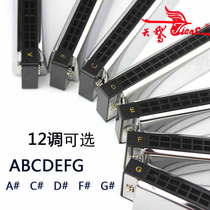 Swan harmonica 24 hole Polyphonic C tune A B D E F G harmonica beginner children adult professional performance grade