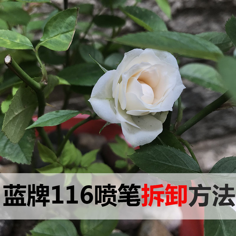 Blue brand pen gun 116 airbrush set pigment color spray paint pen small 9(see the main picture video for disassembly method)