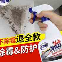 Wall Wall Surface Moulting Scavenger Home White Wall Paper Except Mold Deiters To Moldy Mold Clean Demolars