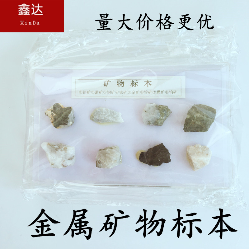 金属矿物标本 8种 生物 化学 自然 中学高校科普展示 教学仪器