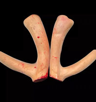 Northeast Luxiang sika deer antler pruning antler gift box wine-making new store opening with many discounts